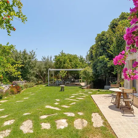 Athermigo Boutique Estate Gavalochori